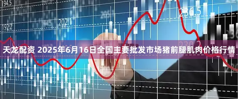 天龙配资 2025年6月16日全国主要批发市场猪前腿肌肉价格行情