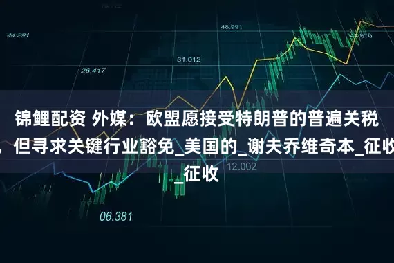 锦鲤配资 外媒：欧盟愿接受特朗普的普遍关税，但寻求关键行业豁免_美国的_谢夫乔维奇本_征收