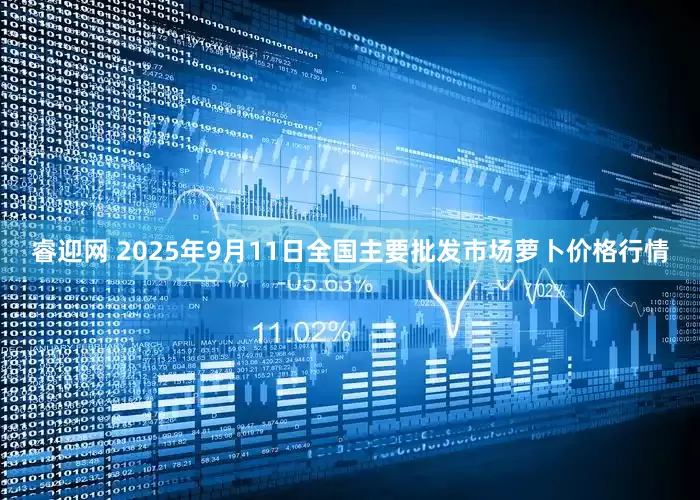 睿迎网 2025年9月11日全国主要批发市场萝卜价格行情