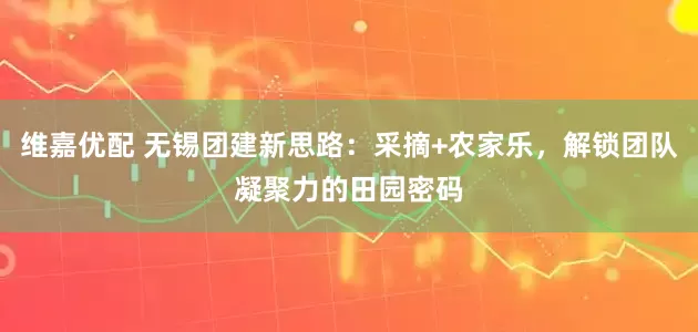 维嘉优配 无锡团建新思路：采摘+农家乐，解锁团队凝聚力的田园密码