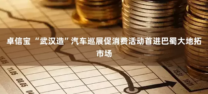 卓信宝 “武汉造”汽车巡展促消费活动首进巴蜀大地拓市场